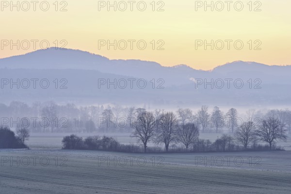 Meadows and trees in the early morning mist in the light of dawn, Reusstal, Aristau, Freiamt,