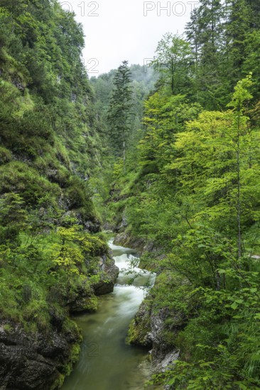 Wild and romantic Weißbach Gorge near Inzell