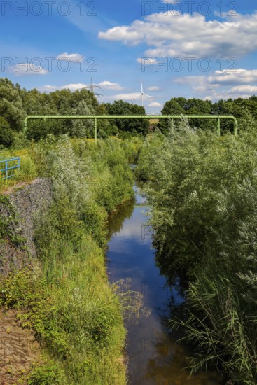 Bottrop, North Rhine-Westphalia, Germany - Renaturalised Boye, the tributary of the Emscher, has