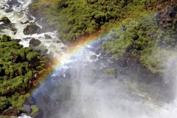 Colourful rainbow over a waterfall surrounded by lush greenery, The Iguazu Falls between Argentina