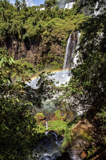View through dense vegetation to a waterfall with a rainbow in the sunlight, The Iguazu Falls