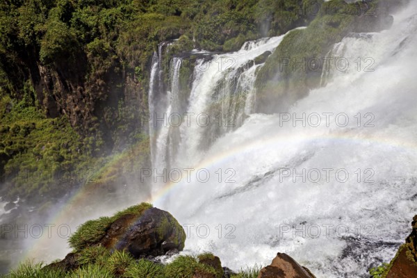 Powerful waterfall with spray and rainbow over mossy rocks in a natural setting, The Iguazu Falls