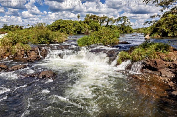 Tranquil river landscape with rapids and surrounding vegetation, the Iguazu waterfalls between