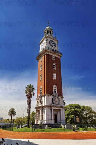 A tall brick clock tower next to palm trees under a clear blue sky, The city of Buenos Aires in