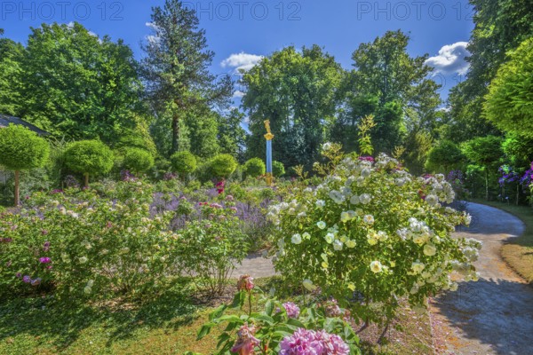 Rosarium with blooming roses and lavender on the Rose Island in Lake Starnberg, Feldafing, Upper
