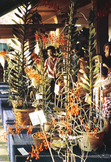 People attending flower show at the Singapore Turf Club, The 4th World Orchid Conference,