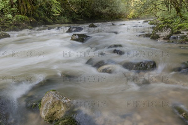 A river flows through a lively forest with smooth rocks that are partially submerged in the water.