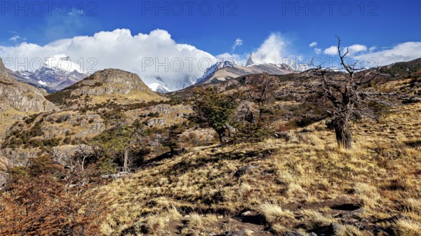 Mountain landscape with dry trees and grasses under a partly cloudy sky, The landscape of Patagonia