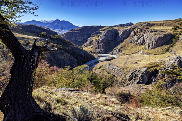 Deep gorge with a river surrounded by steep cliffs and solitary trees, the Patagonian landscape