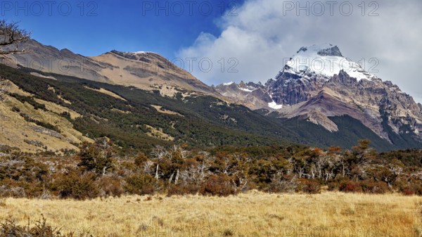 Mountain landscape, snow-covered peaks with wooded slopes and exposed rocks under a blue sky, The