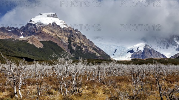 Mountain landscape with snow-covered peaks and a cloud cover over thorny bushes, The Patagonian
