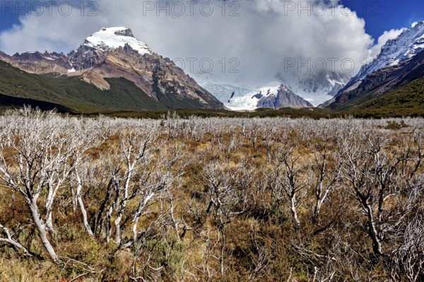 View of snow-capped mountains under dramatic clouds over a wild plain with shrubs, The Patagonian