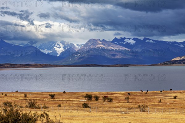 The peaceful, wide lake surrounded by mountains under a dramatic sky, The Patagonian landscape near