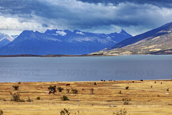 A vast landscape with a lake and distant mountains under a cloudy sky, The Patagonian landscape