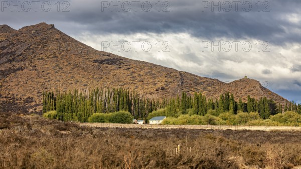 Hilly landscape with trees and clouds adding to the dramatic atmosphere, The Patagonian landscape