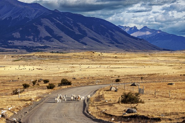 A vast landscape with mountains in the background and a road where sheep can be seen, A herd of