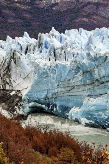 An imposing glacier stretches through a mountainous landscape, surrounded by autumn-coloured trees