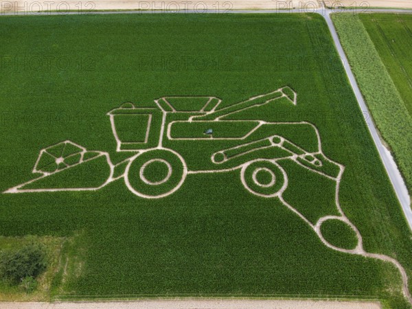 The maize maze of the Maize Spirits near Weißkirchen, near Frankfurt am Main, shows a combine