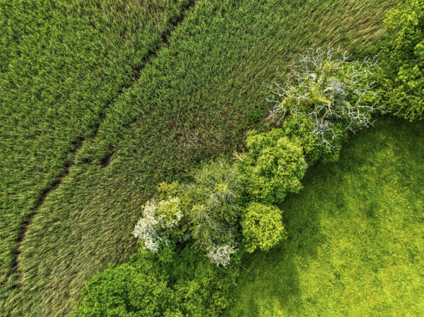 Top Down over Marshes over River Dart from a drone, Stoke Gabriel, Totnes, Devon, England, United