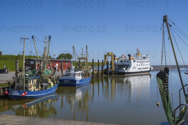 Fishing boats in the harbour of Tammensiel, Pellworm Island, North Frisia, North Sea, North Frisia,