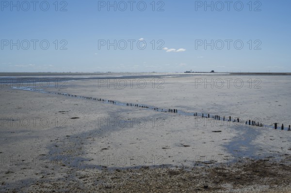 Wadden Sea at low tide, groynes, breakwater, Schleswig-Holstein Wadden Sea National Park, Pellworm