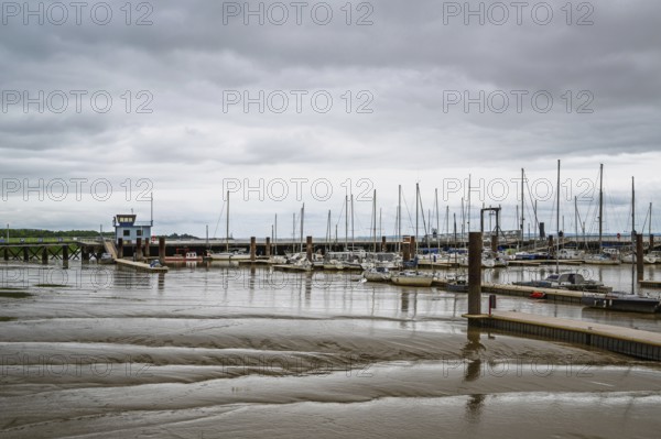 Pauillac, Gironde Estuary, Bordeaux, Gironde, Nouvelle-Aquitaine, France