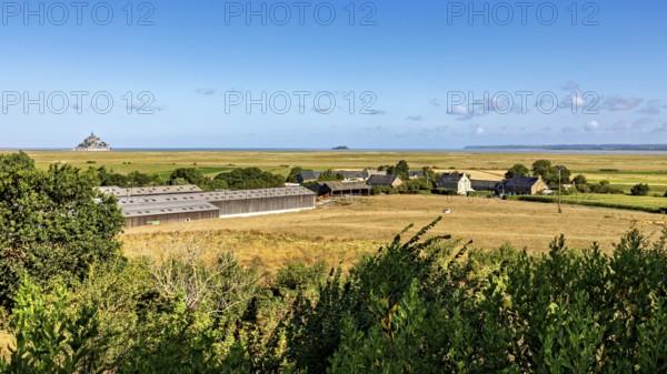 Landscape with a farm near the coast, blue sky and scattered clouds, Mont Saint Michel in Normandy,