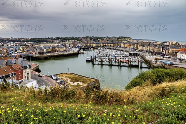 Panoramic view of a harbour town with many boats and green plants in the foreground under a grey