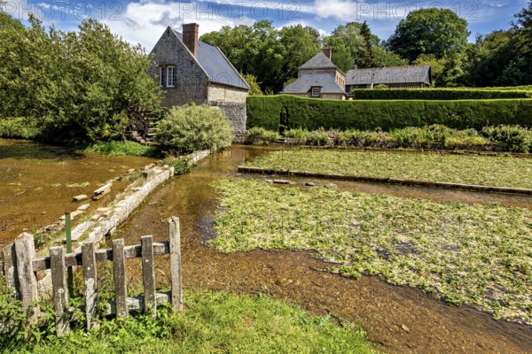 Rural scene with brick house and moat, surrounded by lush vegetation in summer, The historic mill