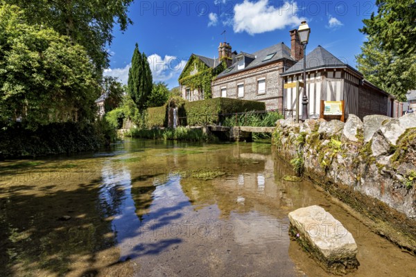 A water-rich courtyard with a historic building and vegetation under a blue sky, the historic mill