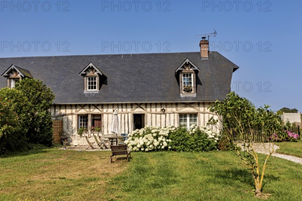 A half-timbered house with a white flowering bush and wooden bench on a well-tended lawn under a