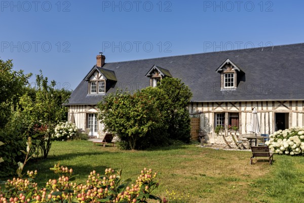Cosy half-timbered house with flowering shrubs and green meadow under a clear sky, Historic houses