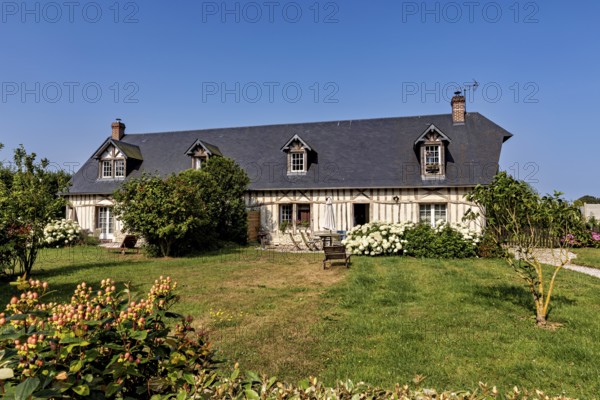 Half-timbered house in a rural setting with a green meadow and flowering plants under a bright sky,