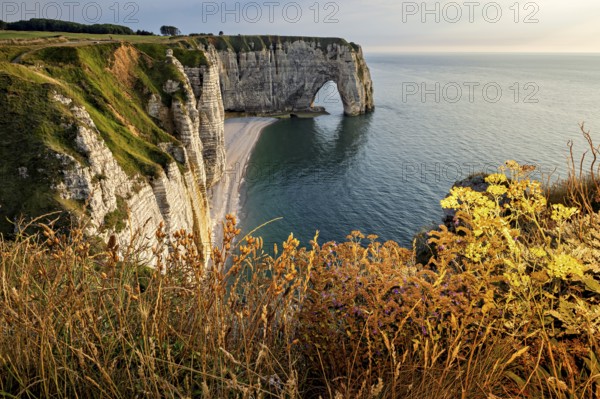Coastline with majestic cliffs and natural rock arches surrounded by flowering plants, The cliffs