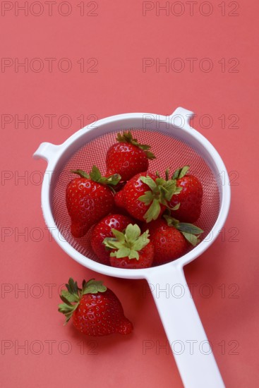 Strawberries in a colander on a red background, Fragaria