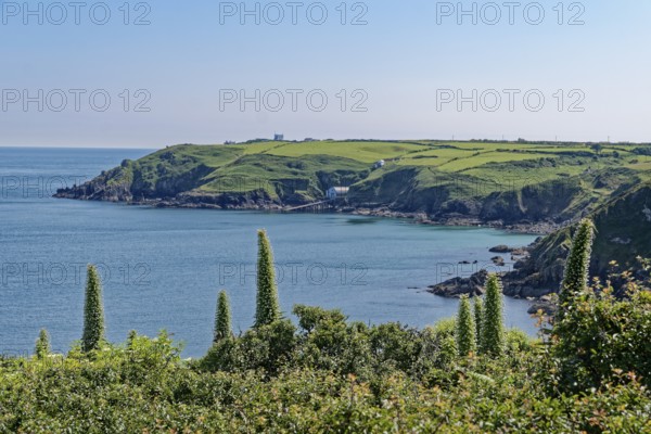 Landscape on the south-east coast near the southern tip of Cornwall on the English Channel.
