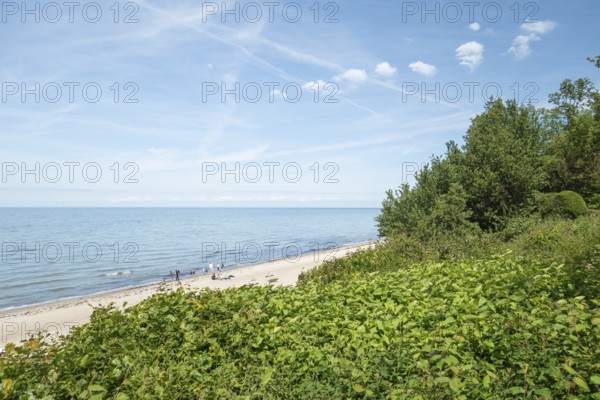 Natural sandy beach, Baltic resort Rerik, Baltic Sea, Rostock district, Mecklenburg-Western