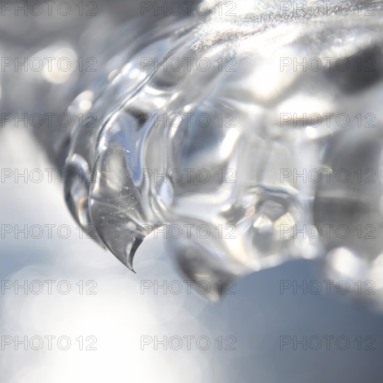 Needle point... Ice tooth (winter flood and cold snap 2020, 2021), ice formed by wind, weather and