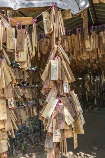 Plaques with messages from prrevious customers hang at entrance to the Akha Cottage restaurant and