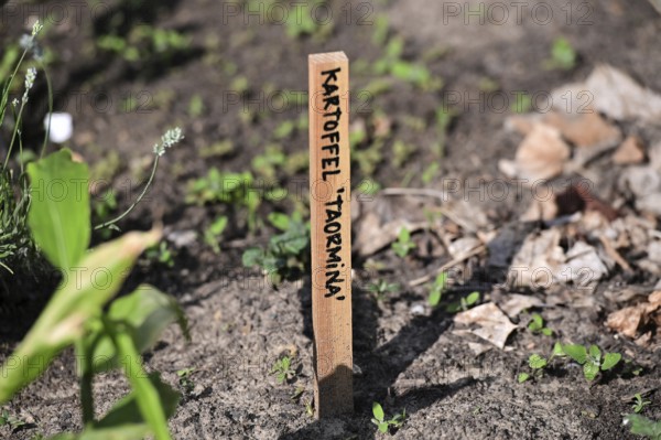 Outdoor exhibition on agriculture and cultivation in front of the Futurium next to the Federal