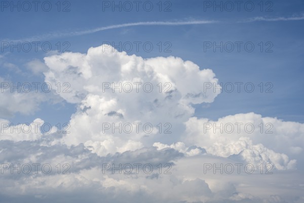 Auftürmende Cumulonimbuswolke, Gewitterwolke, aufziehendes Unwetter mit Hagelsturm über der