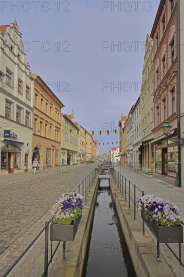 Historic pipe water in the Schlossstraße with flower decoration and houses, sewage, water pipe,