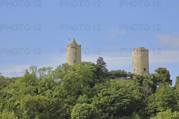 Castle with towers in the forest, Saaleck, Bad Kösen, Saale, Naumburg, Saxony-Anhalt, Germany