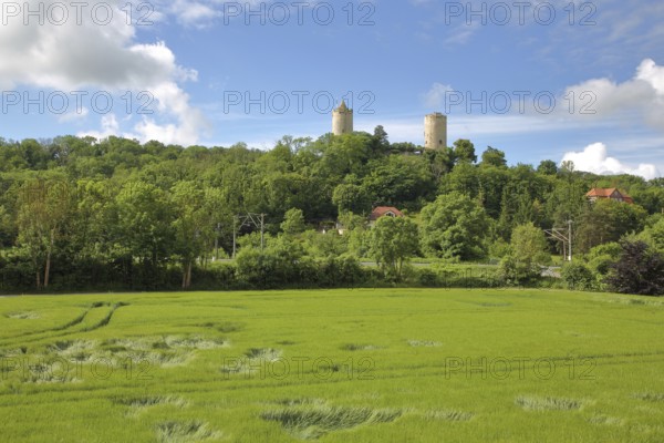 Castle with towers in the forest on the hill, green field with pattern, Saaleck, Bad Kösen, Saale,