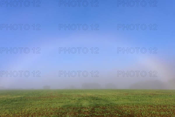 An arc of fog appears over a misty field radiating a calm atmosphere, Mönchberg, Miltenberg,