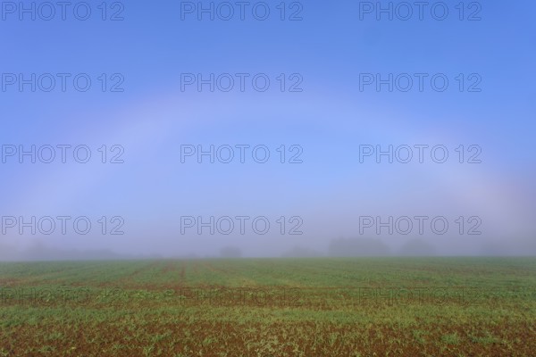 An arc of fog stretches across a misty morning sky, overlooking fields, Mönchberg, Miltenberg,