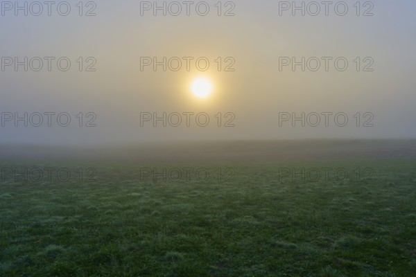 Lonely sunrise behind fog over a quiet field, creates a mystical environment, Mönchberg,