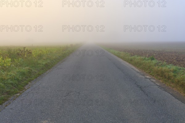 Abandoned road in the fog, flanked by fields, in calm autumn light, Mönchberg, Miltenberg,