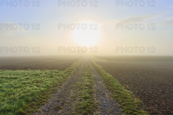 A country lane stretches into a misty landscape bathed in sunlight, Mönchberg, Miltenberg,