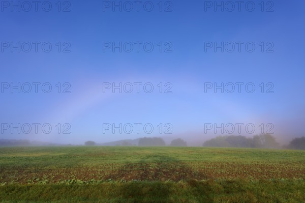 An arc of fog arches over a misty field in a quiet morning scene, Mönchberg, Miltenberg, Spessart,